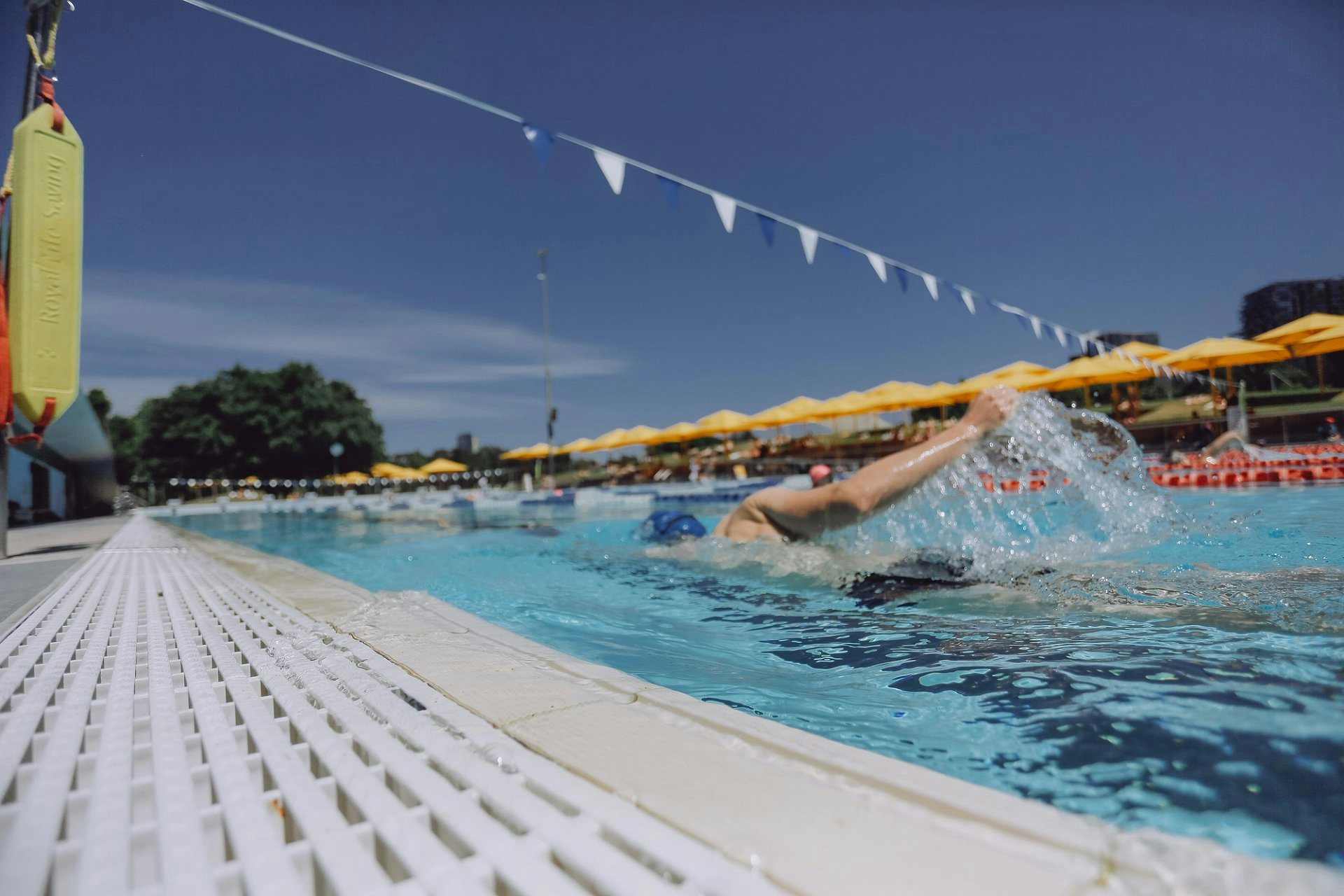 Male swimming in the outdoor 50m pool at Prince Alfred Park Pool